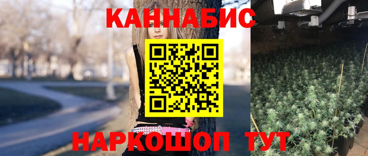 Бошки марихуана марихуана  МАРИХУАНА гибрид  Вход с VPN  Астрахань 